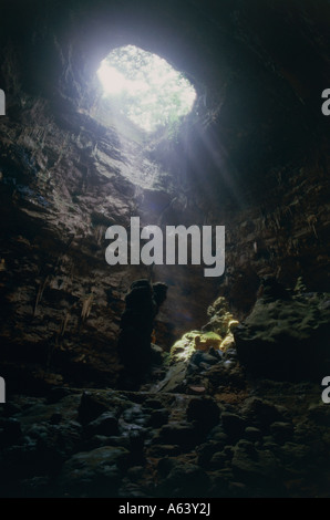 die Höhle der Grotte di Castellana nahe Dorf Monopoli Region Apulien Italien Stockfoto