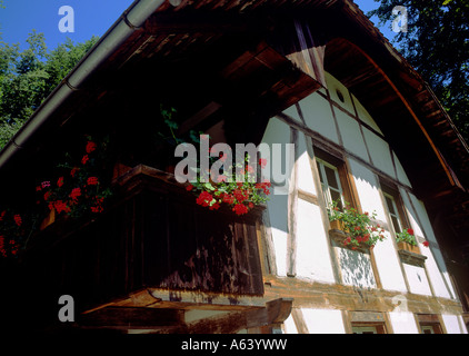 Rahmen Bauernhaus im freien Dorfmuseum Ballenberg Region Highland schweizerischer Berner Alpen der Schweiz Stockfoto