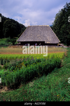 Bauernhaus im freien Dorfmuseum Ballenberg Region des Berner Highlands Alpes Kanton Bern Stockfoto