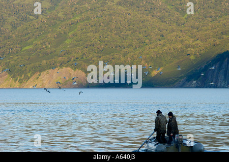 Touristen in ein Latex Boot Meer Vögel zu beobachten.  Nord-Pazifik, Kamtschatka, Russland Stockfoto