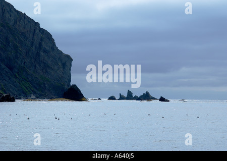 Meereslandschaft. Felsen im Meer in der Nähe des Shipunsky, Kamtschatka, Nord-Pazifik, Kronotsky Bay am frühen Morgen Stockfoto