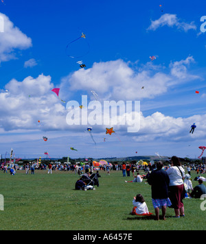 Leute zu beobachten verschiedene geformte Drachen im Kampf, "Festival der Luft", Washington, Tyne and Wear, England, UK. Stockfoto