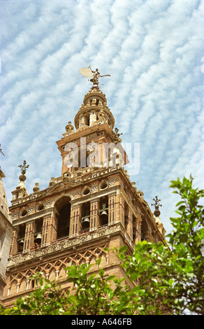 Die Giralda, der Glockenturm der Kathedrale von Sevilla, Spanien Stockfoto