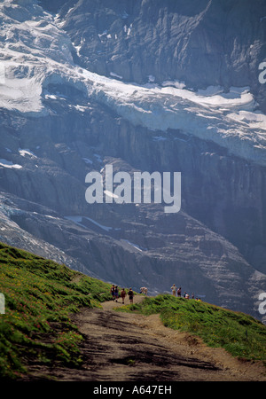 Wanderer vor Schluchten der Palette der Jungfrau Bergregion des Berner Highlands Alpes Kanton Bern Stockfoto