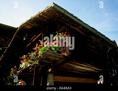 traditionelle Blumen geschmückt Schuppen Dorf Mürren Region des Berner Highlands Alpes Kanton Bern Stockfoto