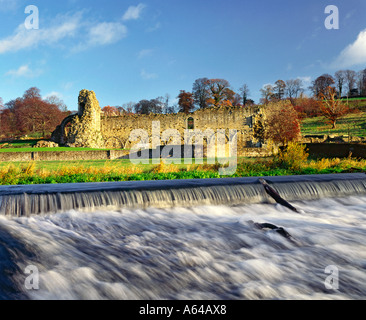 Kirkham Priory in North Yorkshire Stockfoto