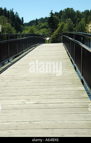 Aus Holz beplankt Brücke in Olympia, Washington am Capitol-See-Park. Stockfoto