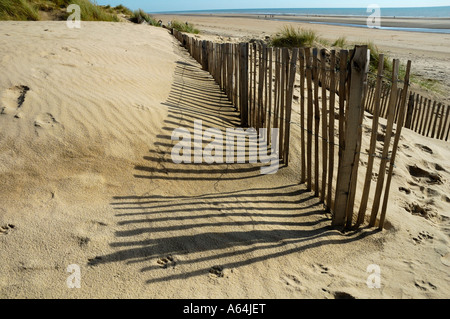 Sanddüne Erhaltung Zäune in den Dünen am Camber Sands Roggen East Sussex England Stockfoto