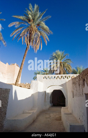 Palmengarten in Ghadames, Ghadamis, UNESCO-Weltkulturerbe, Libyen Stockfoto