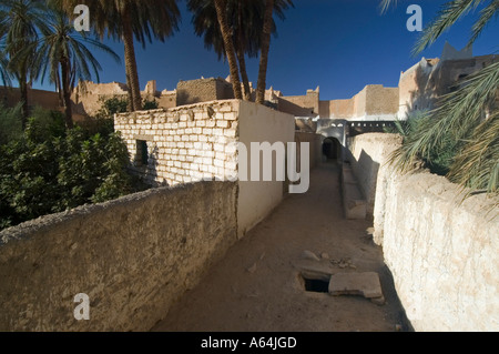 Palmengarten in Ghadames, Ghadamis, Libyen, UNESCO-Weltkulturerbe Stockfoto