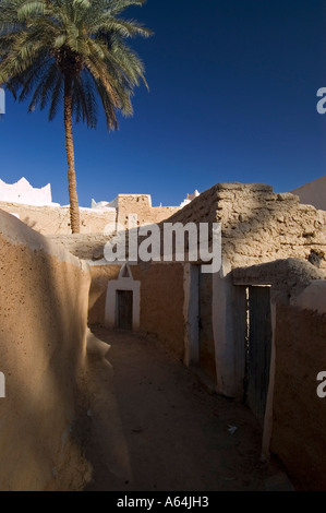 Palmengarten in Ghadames, Ghadamis, Libyen, UNESCO-Weltkulturerbe Stockfoto