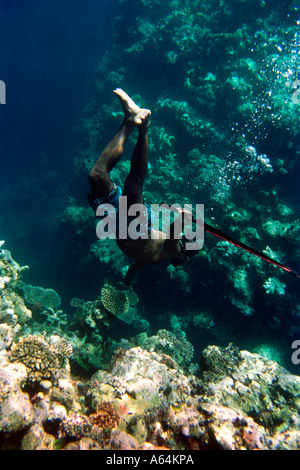 Sailas Boas Speer Angeln am Riff an Kontu Kontu New Ireland Provinz Papua-Neu-Guinea Stockfoto