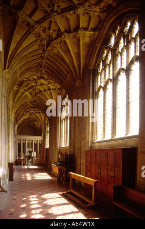 UK England Dorset Sherborne Abtei innen gewölbten Kreuzgang Stockfoto