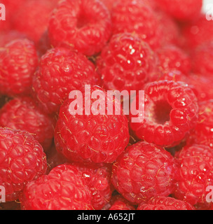 Raspberries Stockfoto