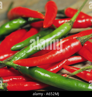 Rote und grüne Vögel eye Chillies, in der Regel in der thailändischen Küche verwendet. Stockfoto