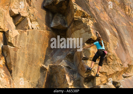 Ein weibliche Kletterer testet sich auf Kangaroo Point Cliffs in Brisbane die vulkanischen Klippen über 200 Millionen Jahre alt sind Stockfoto