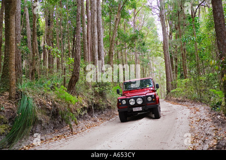 Ein Allradfahrzeug macht seinen Weg über die sandigen Straßen von Fraser Island Interieur Stockfoto