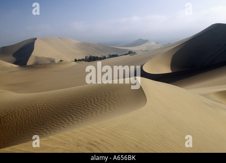 Wüste Dünen umsäumen die Oase Dorf von Huacachina in Südperu Stockfoto