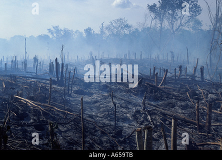 Schwelende Schlagabraum und brennen Landwirtschaft, Halbinsel Yucatan, Mexiko Stockfoto