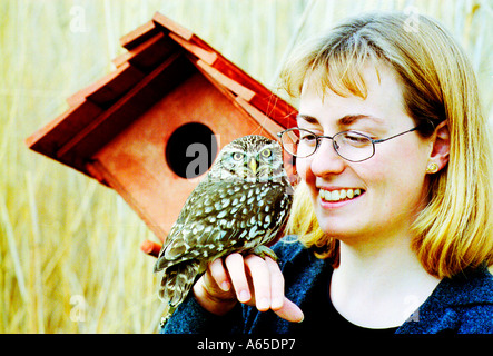 Seltene kleine Eule sitzt auf der Seite des Wissenschaftlers blonde Dame Stockfoto