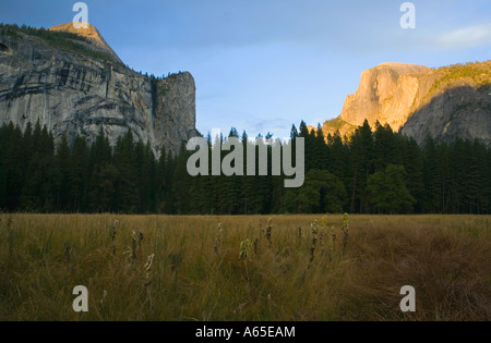 Halbe Kuppel Wiese im Yosemite-Nationalpark, Kalifornien USA Stockfoto