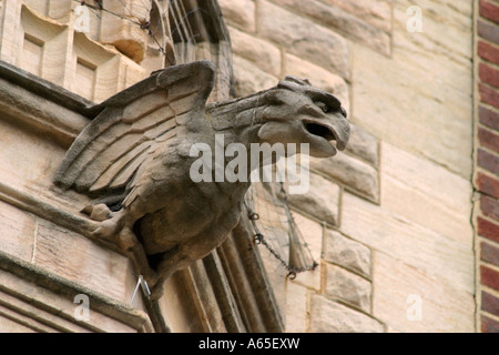 Eagle Gargoyle in der Chichester Cathedral, West Sussex, England, Großbritannien. Stockfoto