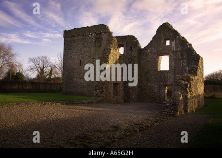 Carlingford Abbey 2 Stockfoto