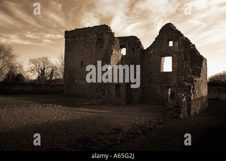 Carlingford Abbey1 Stockfoto