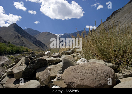 Mani Steinen auf einem trekking-Route in der Himalaya-Region Ladakh. Stockfoto