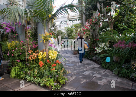 Orchidee-Show in Enid A Haupt Konservatorium in New York Botanical Gardens Bronx New York City-NY-USA Stockfoto