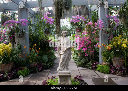 Orchidee-Show in Enid A Haupt Konservatorium in New York Botanical Gardens Bronx New York City-NY-USA Stockfoto