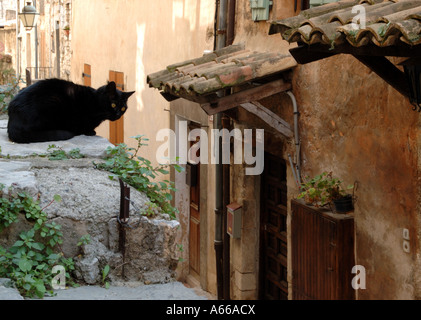 Schwarze Katze im französischen Dorf von Tourrettes-Sur-Loup Stockfoto