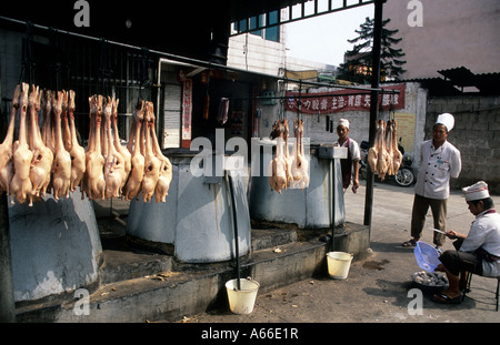 Umfassende Vorbereitung der Peking-Ente auf dem Weg von einem Dorf in Yunnan, China. Stockfoto