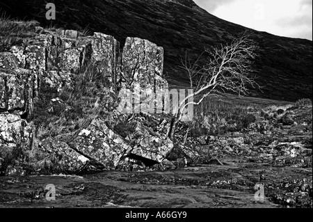 Rock & Baum Glencoe. Stockfoto