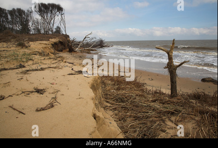 Sturmschäden Sie Benacre Strand, Suffolk, England Stockfoto