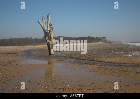 Dramatische toter Baumstamm und die Äste stehen am Strand bei Ebbe Benacre, Suffolk, England Stockfoto