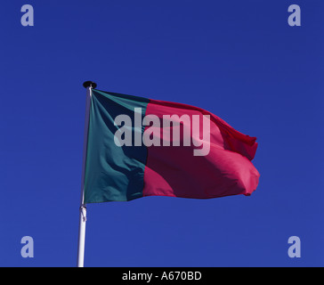 Portugese Flag, Portugal Stockfoto