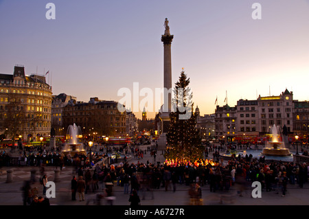 Sternsinger unter dem Weihnachtsbaum am Trafalger Square Stockfoto