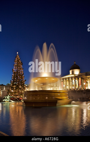 Weihnachtsbaum und Brunnen beleuchtet auf dem Trafalgar Square zu Weihnachten Stockfoto