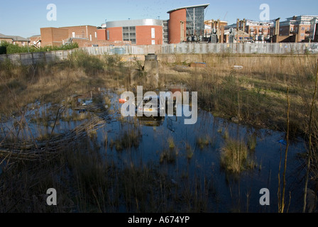 Gedumpten Auto auf einer Brache neben Canbury Gärten, Kingston upon Thames, Surrey, England, UK. Stockfoto