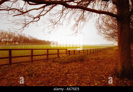 Knavesmire Racecourse York UK Stockfoto