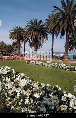 Handelshafen Strandpromenade mit Palmen & Sommer Blumen in der Stadt von La Spezia in Ligurien Italien Europa gefüttert Stockfoto