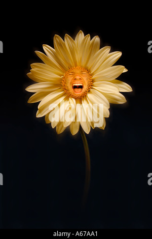 Schreiende Blume-Konzept Stockfoto