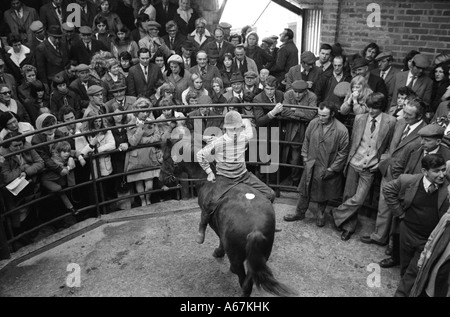 1970er Jahre Bauern auf Auktion zeigen Pferde bei einem jährlichen Pferdeverkauf. Junge reitet kindersicheres Pferd ohne Sattel. Hatherleigh, Devon 1973 UK. Stockfoto