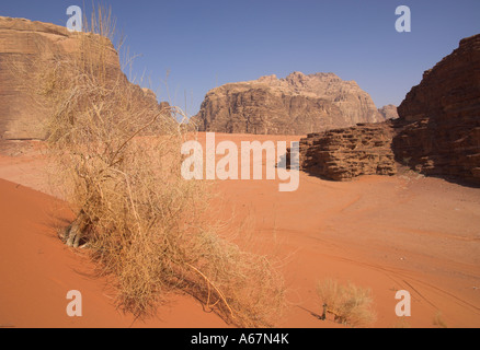 Jordanien Wadi Rum Wüste typische Wüste Ansicht mit roter Sand trocken Busch Klippen und Felsen in bkgd Stockfoto