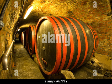 Villany, 9000 l Wein Fass im größten Weinkeller von Villány, Pecs, Southungary, Ungarn, Südost-Europa, Europa, Stockfoto