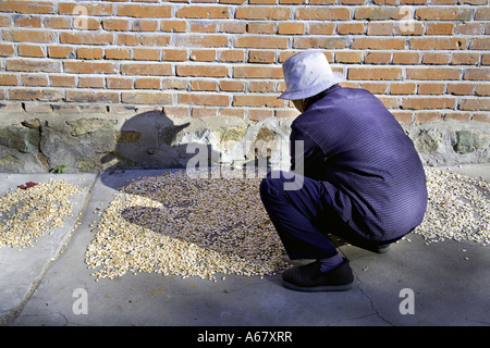 CHINA SIMATAI ältere Bäuerin Trocknung Kürbiskerne vor ihre kommunalen Backstein-Bauernhaus Stockfoto