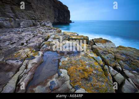 Launisch Wintermorgen auf Dancing Ledge auf der Isle of Purbeck, Dorset Stockfoto