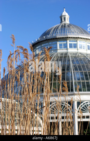 Teilansicht des Enid A. Haupt Konservatoriums an der New York Botanical Garden, Bronx, NY, USA Stockfoto