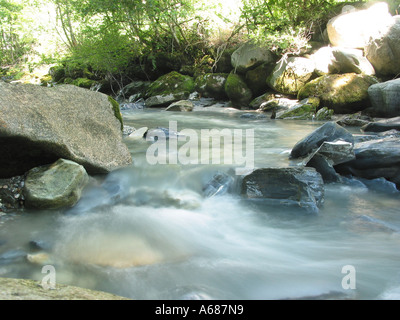 Schnelles Streaming-Bach fließt über Felsen Zillertal Tirol Österreich Stockfoto